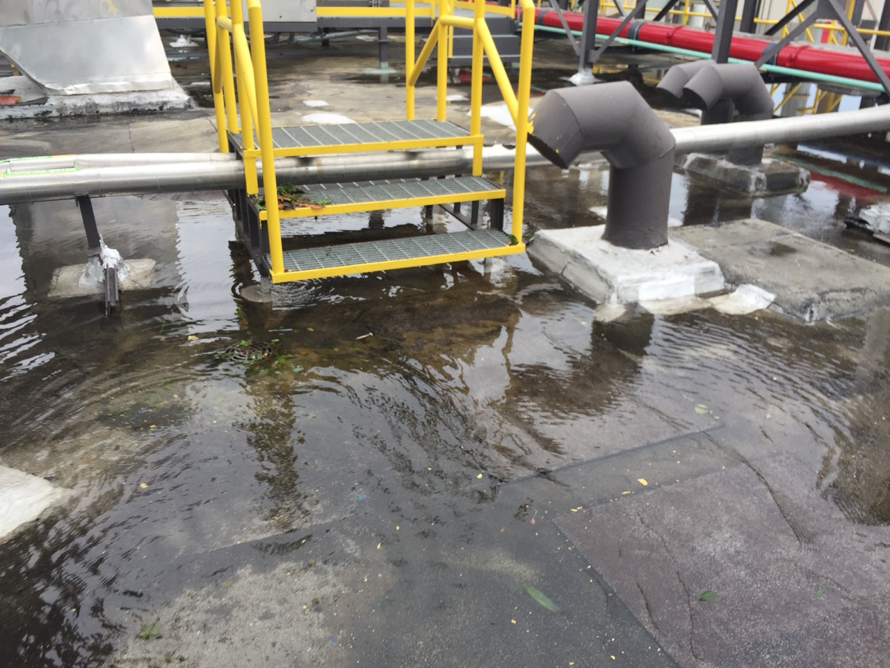Standing water on a roof after a hurricane.